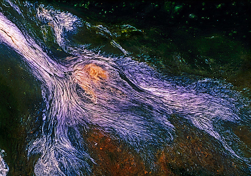 17. Þörungalist / Art of Algae